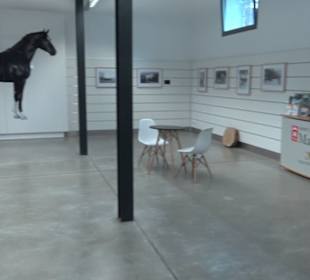 Haupt- und Landgestüt Marbach