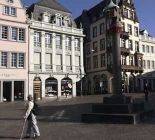 Steipe