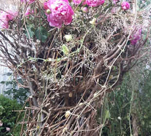 Buga Bundesgartenschau 2019