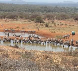 Wasserstelle bei der Kilaguni Lodge