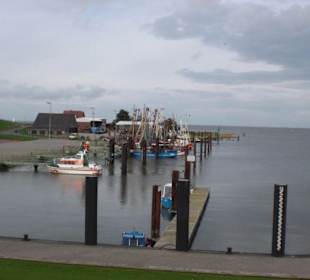 Der Hafen von Fedderwardersiel