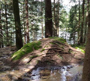 Sport & Freizeit