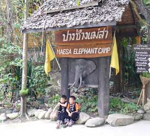 Maesa Elephant Camp