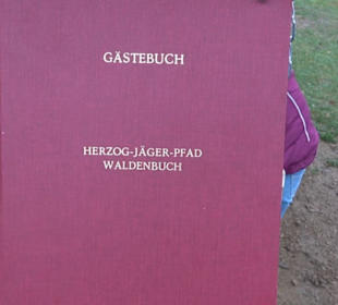 Schaukel auf den Knaupwiesen