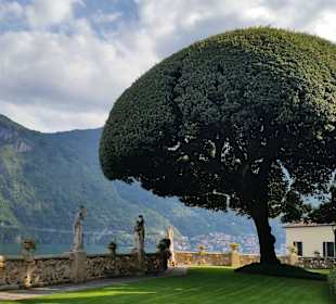 Garden of Villa del Balbianello