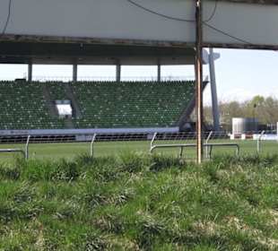 Stadion an der Kreuzeiche