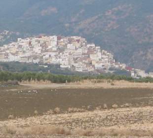 Aussicht v.d.Ausgrabungsstelle Volubilis