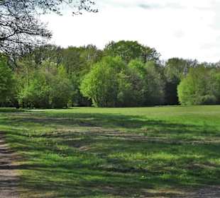 Spaziergang durch den Walter-Peters-Park