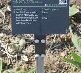 Hinweistafel zum eingepflanzten Kraut