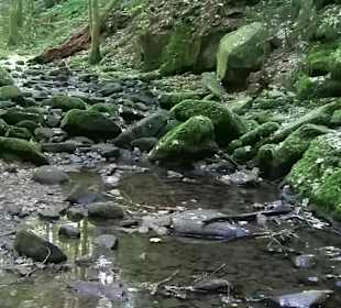 Monbachtal
