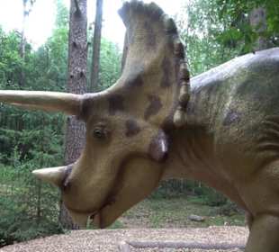 Dinosaurier Museum Altmühltal