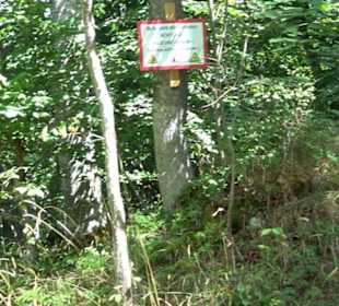 Burgruine Blankenstein