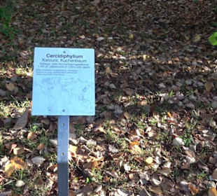 Botanischer Garten