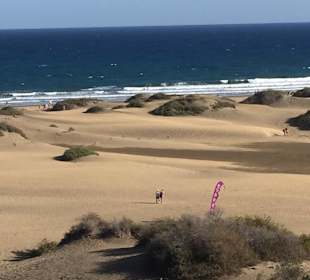 Die Dünen