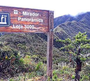 Podocarpus Nationalpark