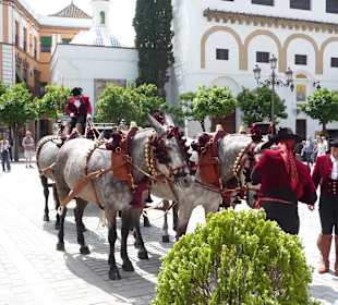 Droschke in Sevilla