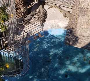 Tierpark im Grand Aquarium. 