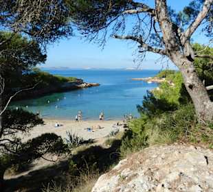 Schöne Bucht Cala Gracio