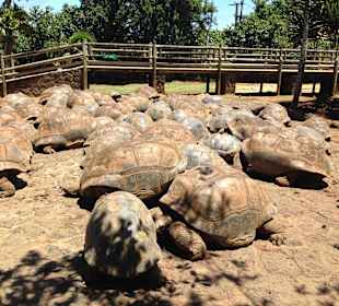 La-Vanilla Park, da muss man hin !