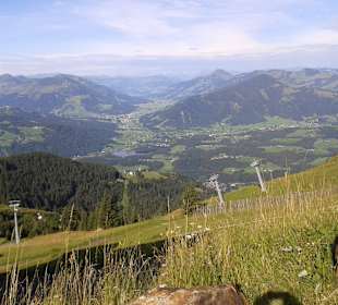 Kitzbühler Horn Hochalpenstraße
