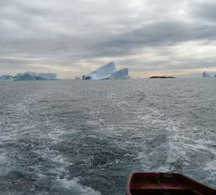 Bootsfahrt zwischen Eisbergen
