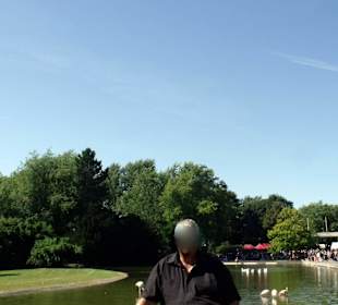 Blick vom Fersehturm