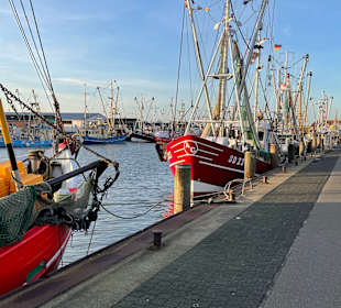 Hafen Büsum