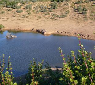 Raststätte im Addopark