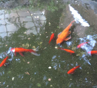 Rhodos - Archeologické muzeum