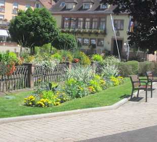 Niederbronn les Bains