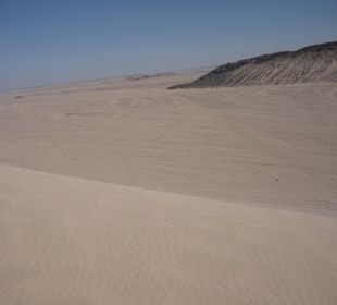 In der Wüste so wunderschön