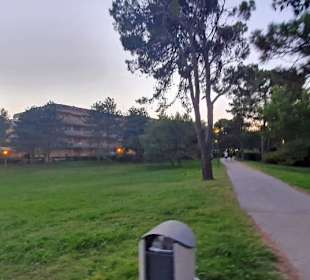 Lido dei Pini super Gegend
