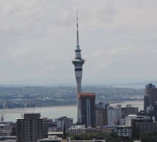 Blick vom Vulkan über Auckland