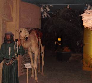 Dubai Museum