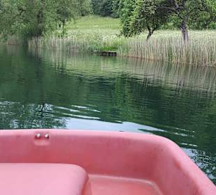 Umgebung... Maare rund um Daun... 