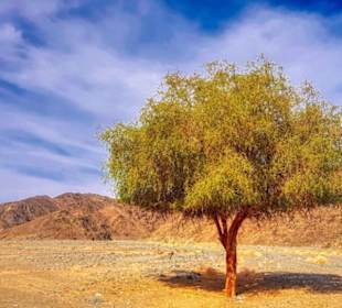 Landschaft