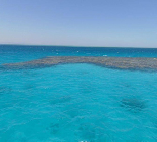 Unterwegs sieht man tolle Riffe