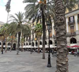Placa Reial