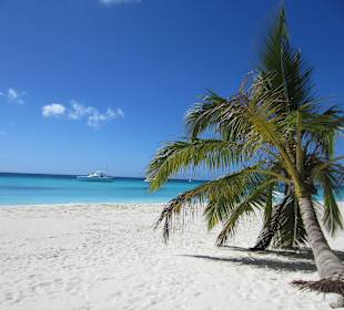 Strand auf Saona