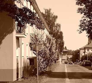 Mesto