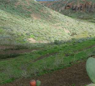 Auf dem Weg zum Mirador Aguaide