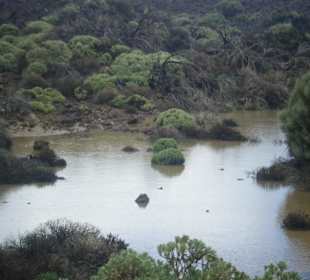 Der Teide bei schlechtem Wetter