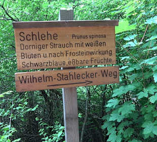 Waldlehrpfad in Tieringen
