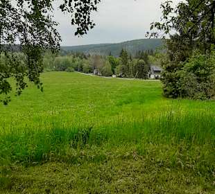 Wandern Altenberg