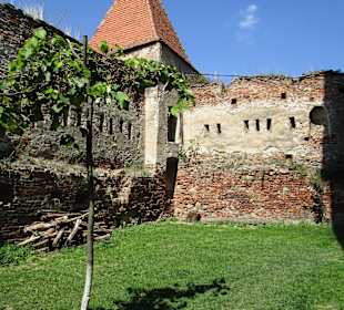 Burg Slimnic/Stolzenburg