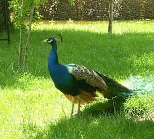 Isparta Gökçay Park