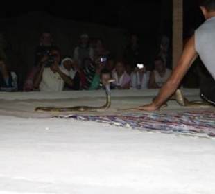 Wüstensafari / Abendveranstaltung