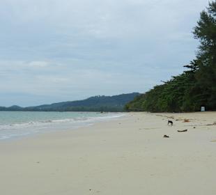 White Sand Beach