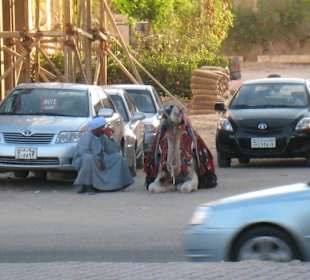 mitten auf der Straße