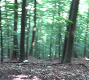Premiumwanderweg "hochgelegen"